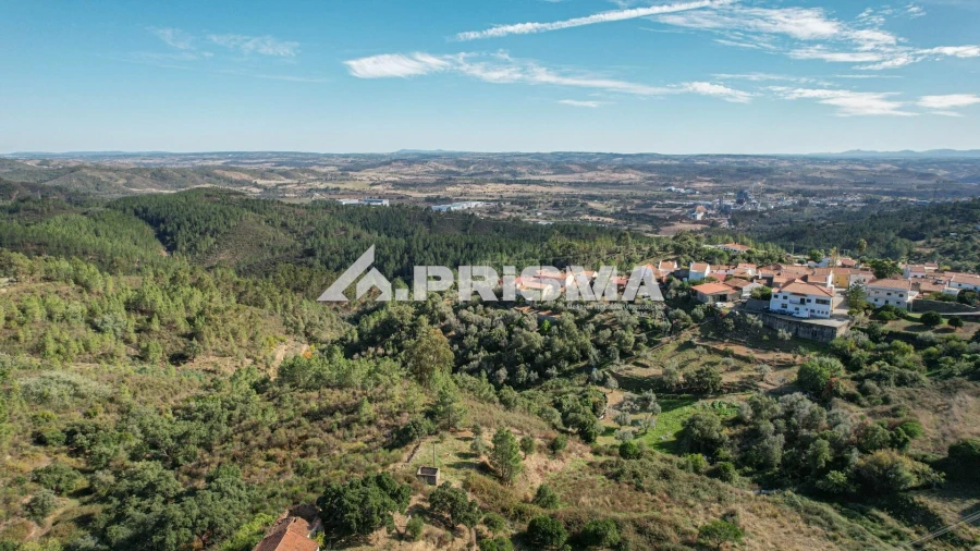 Quinta para Venda em Vila Velha de Rodão