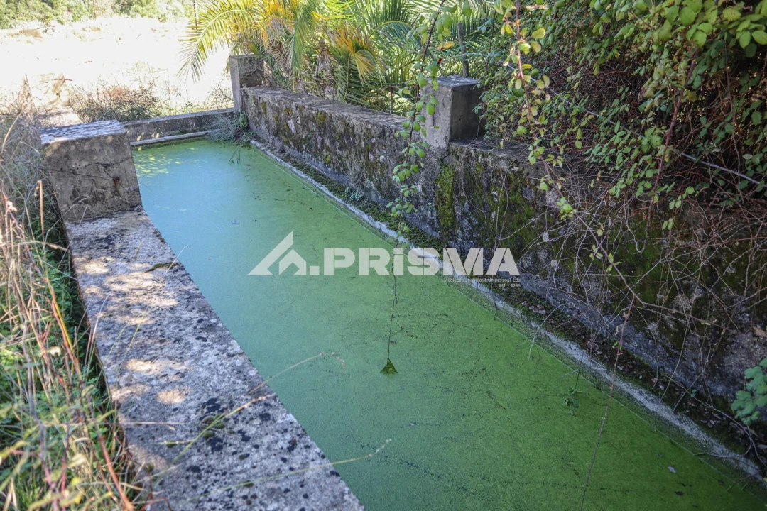 Quinta para Venda em Vila Velha de Rodão Foto 16