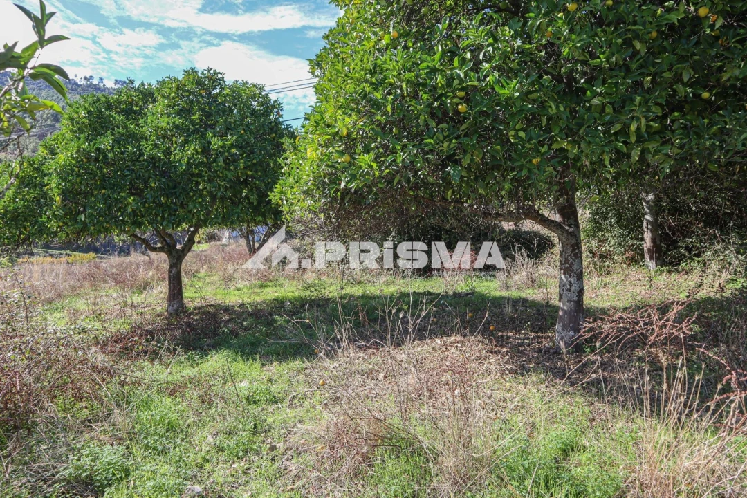 Quinta para Venda em Vila Velha de Rodão Foto 26