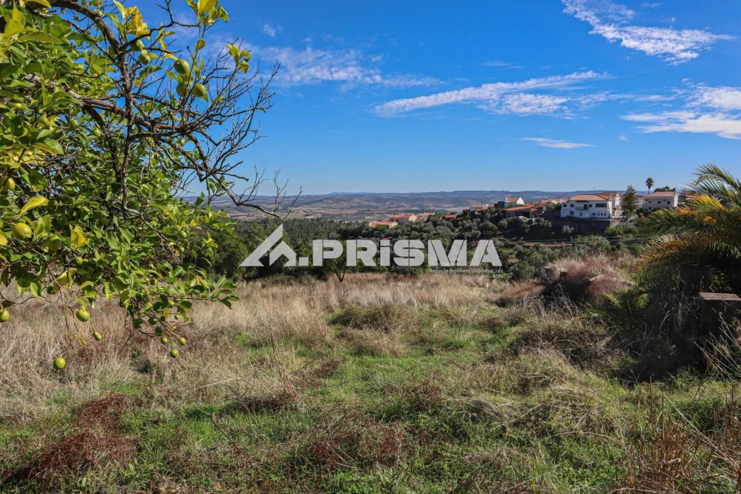 Quinta para Venda em Vila Velha de Rodão Foto 19