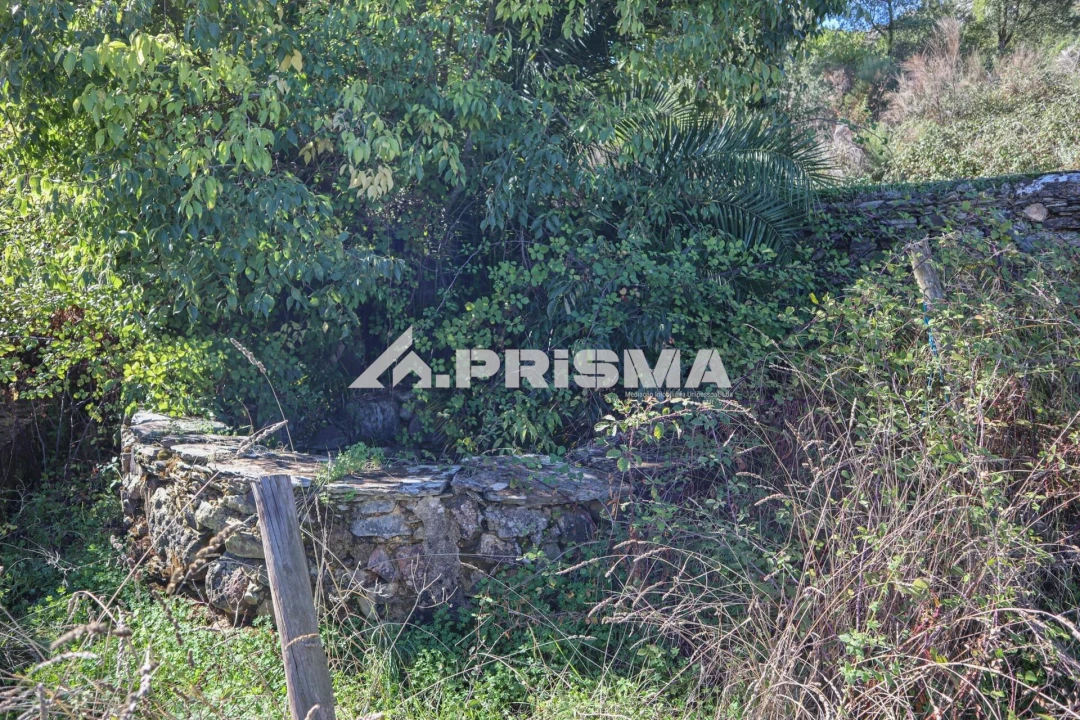 Quinta para Venda em Vila Velha de Rodão Foto 18