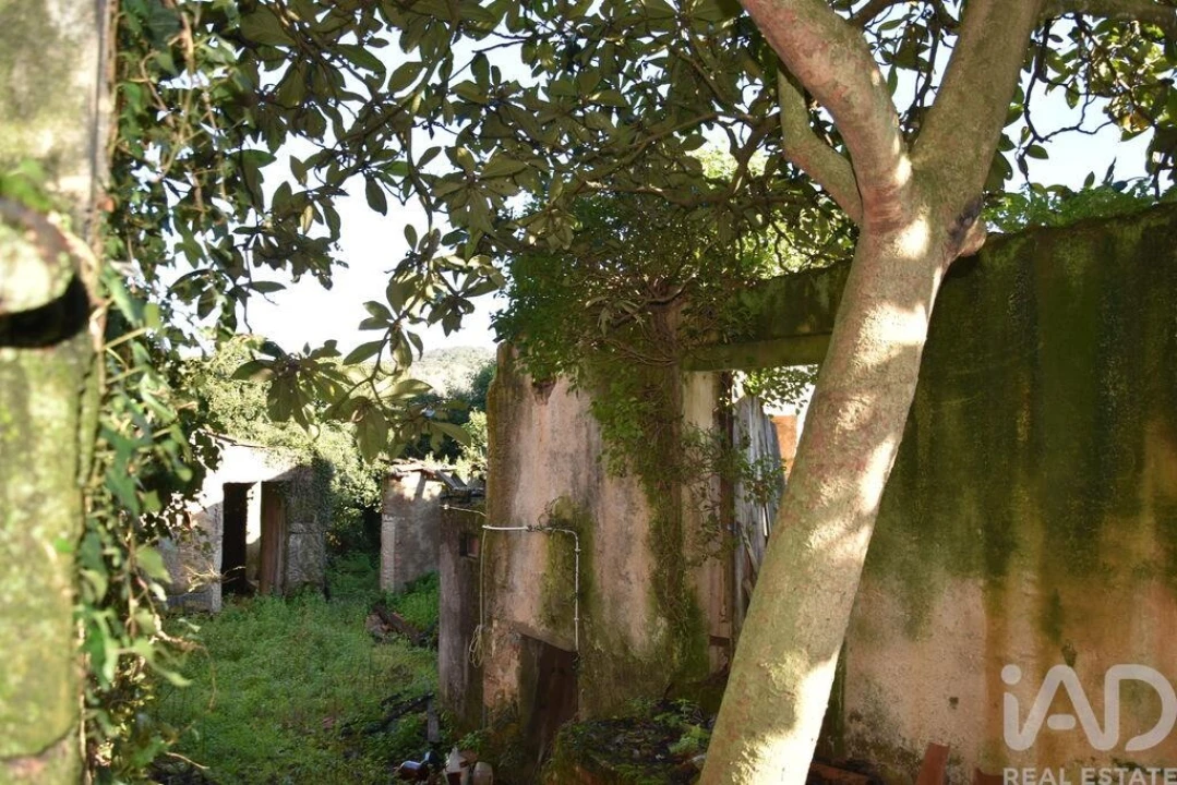 Moradia T5 para Venda em Chãos Foto 3