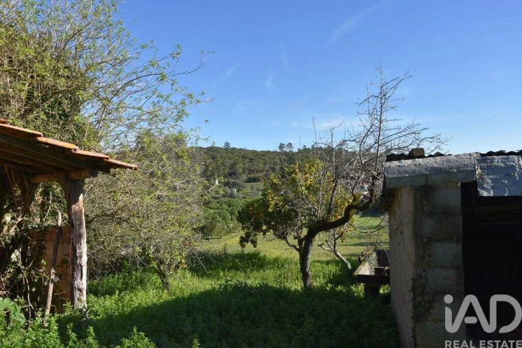 Moradia T5 para Venda em Chãos Foto 15