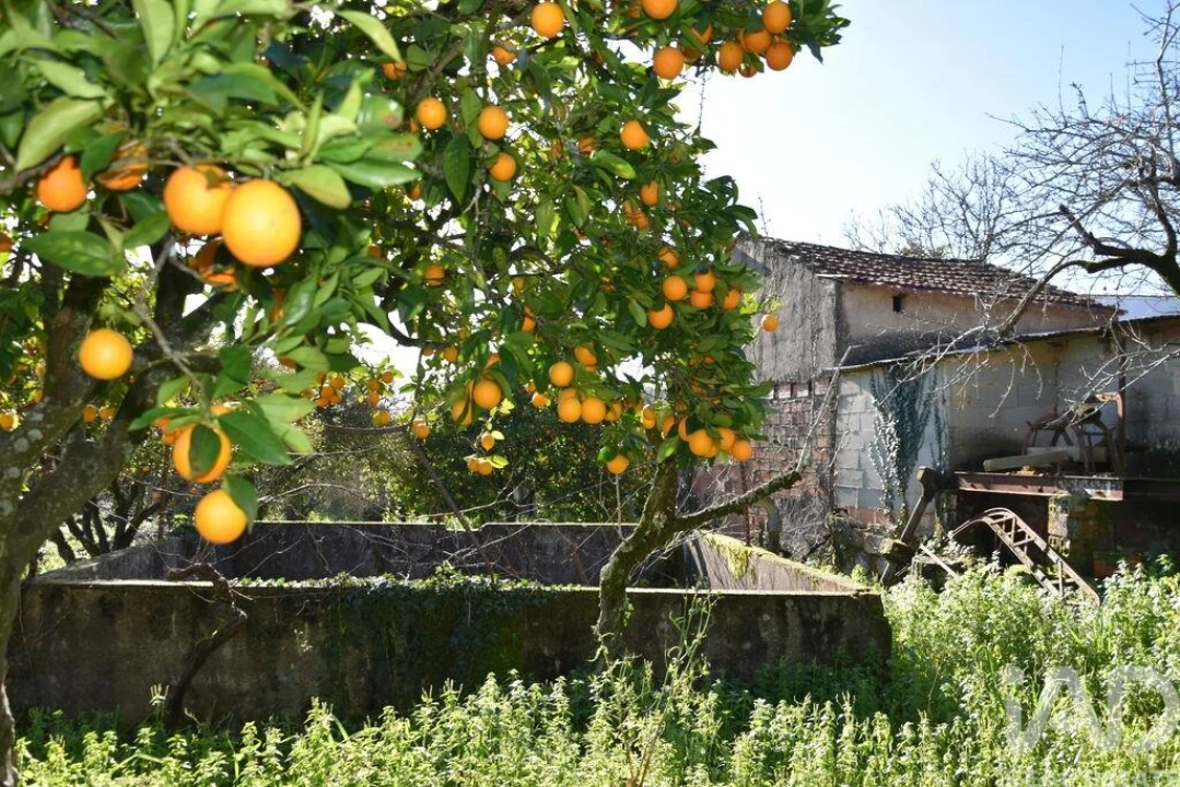 Moradia T5 para Venda em Chãos Foto 2