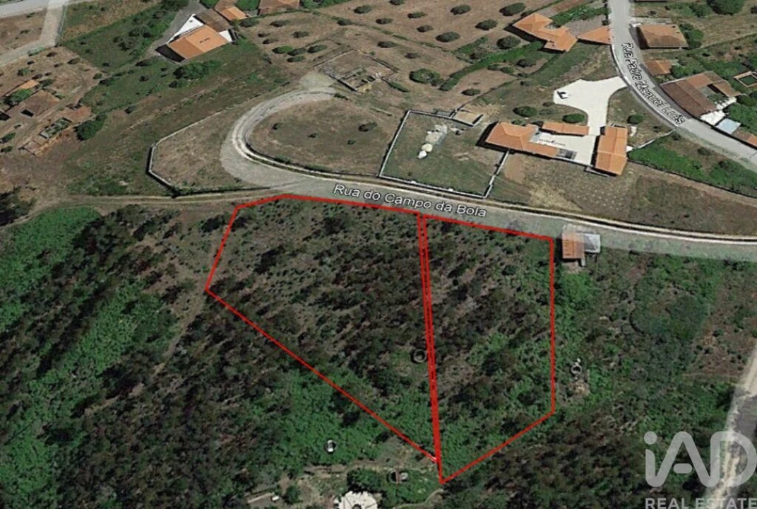 Terreno para Venda em Graça Foto 4