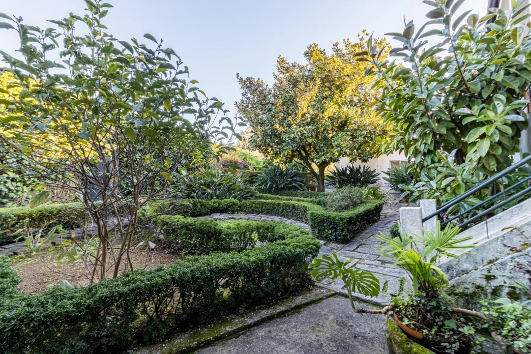 Quinta T3 para Venda em São Martinho da Gandara Foto 33
