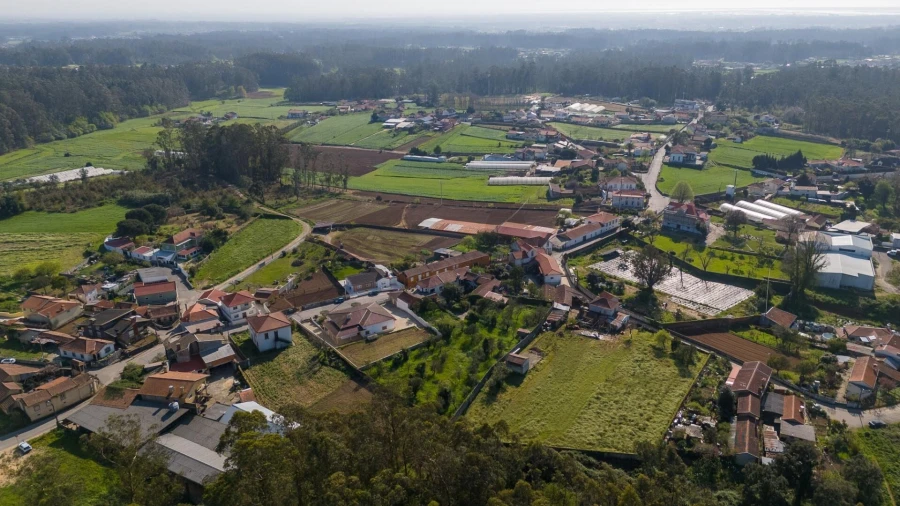 Quinta T3 para Venda em São Martinho da Gandara Foto 43