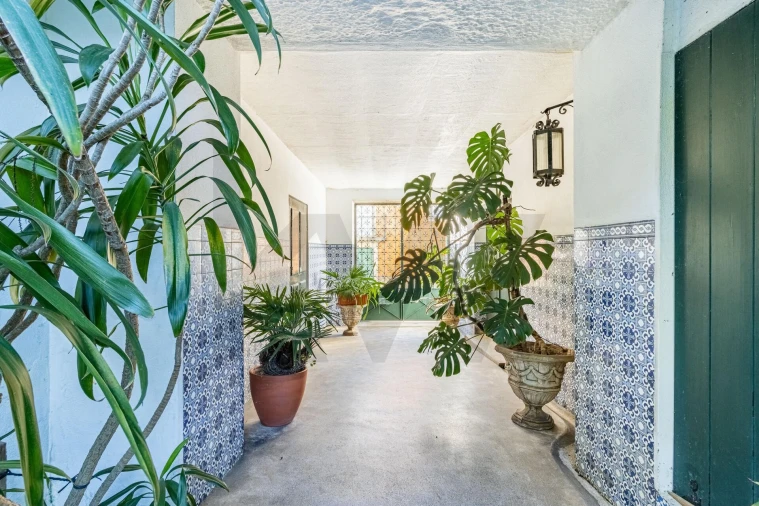 Quinta T3 para Venda em São Martinho da Gandara Foto 3