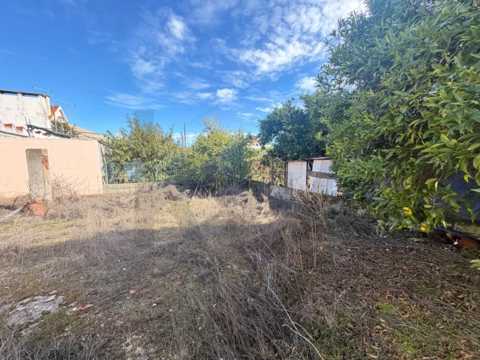 Moradia T4 para Venda em Alpiarça Foto 25