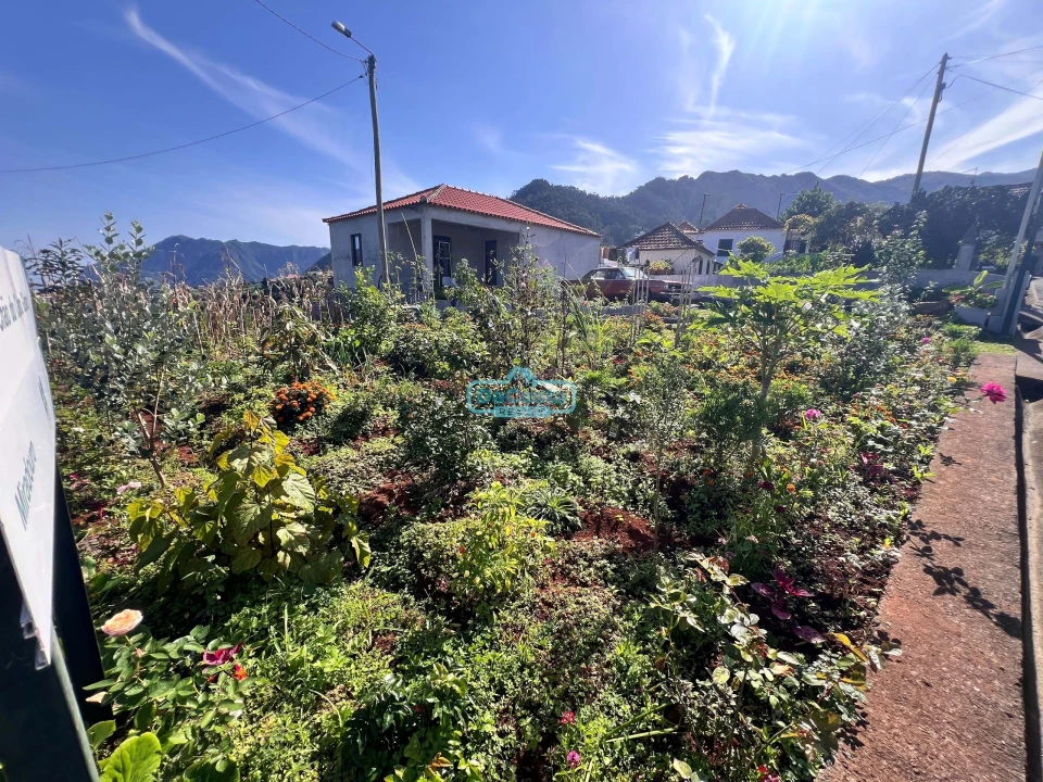 Moradia T2 para Venda em São Roque do Faial Foto 1