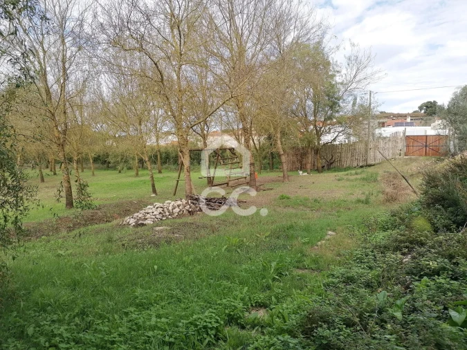 Moradia T4 para Venda em Peral Foto 47