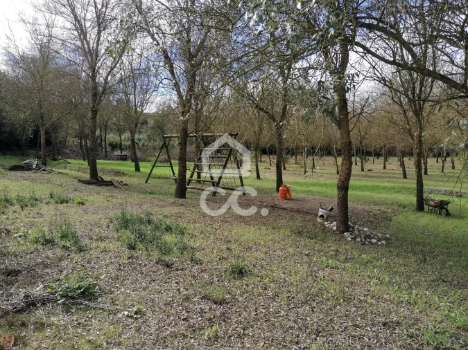 Moradia T4 para Venda em Peral Foto 49