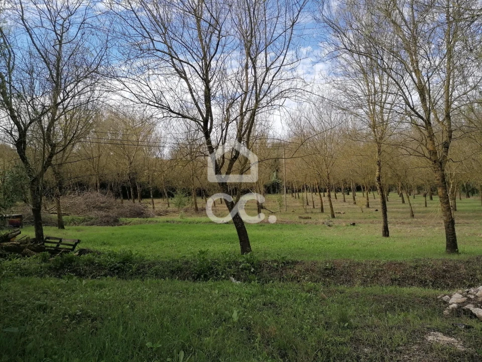 Moradia T4 para Venda em Peral Foto 52