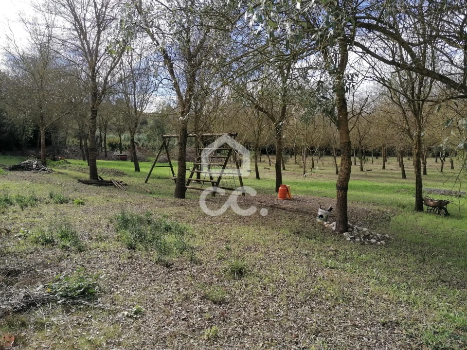 Moradia T4 para Venda em Peral Foto 49