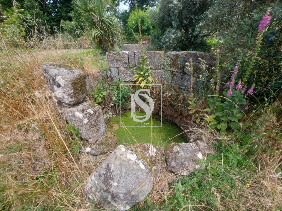 Terreno para Venda em Tonda Foto 3