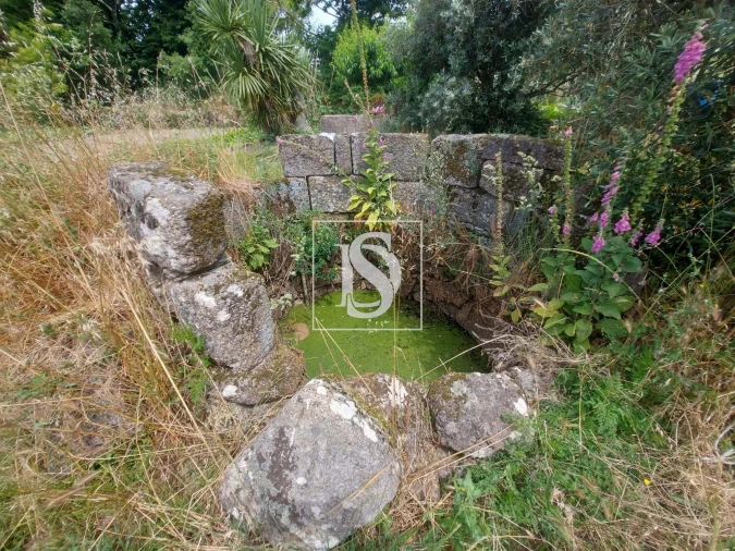 Terreno para Venda em Tonda Foto 3