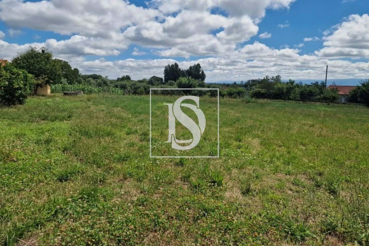 Terreno para Venda em Mouraz e Vila Nova da Rainha Foto 3