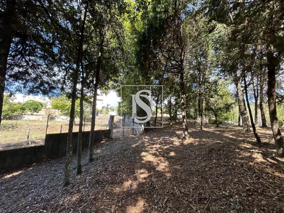 Quinta T6 para Venda em Santa Comba Dão e Couto do Mosteiro Foto 57