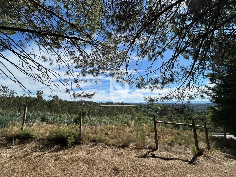 Quinta T6 para Venda em Santa Comba Dão e Couto do Mosteiro Foto 54