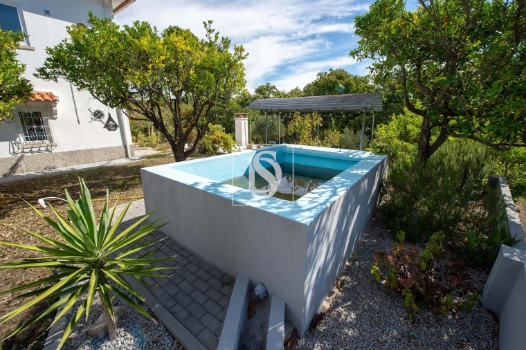 Quinta T6 para Venda em Santa Comba Dão e Couto do Mosteiro Foto 18