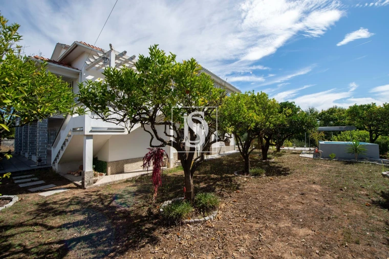 Quinta T6 para Venda em Santa Comba Dão e Couto do Mosteiro Foto 19