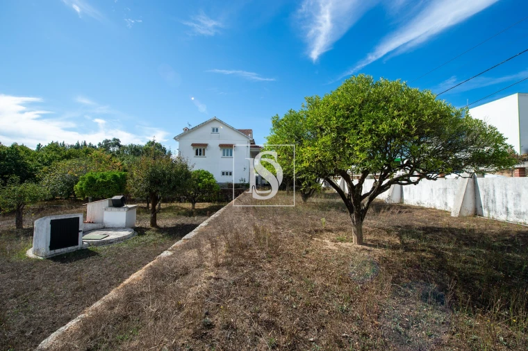 Quinta T6 para Venda em Santa Comba Dão e Couto do Mosteiro Foto 12