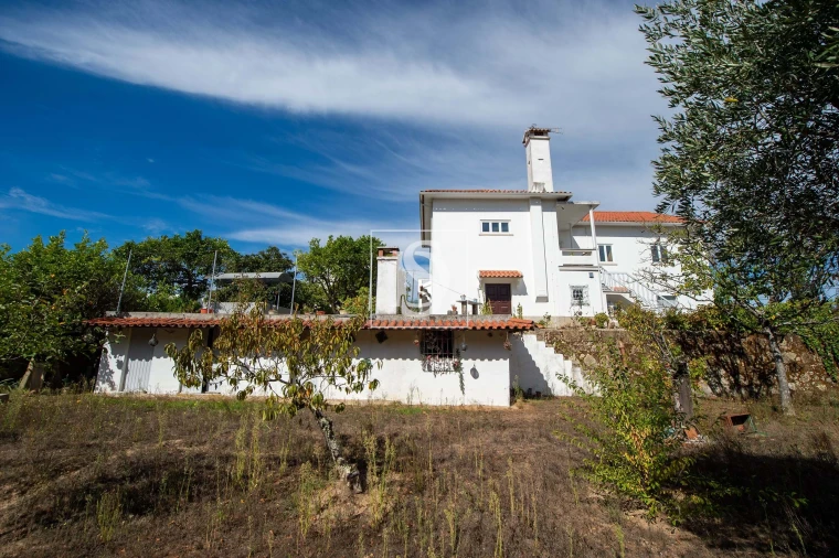 Quinta T6 para Venda em Santa Comba Dão e Couto do Mosteiro Foto 15