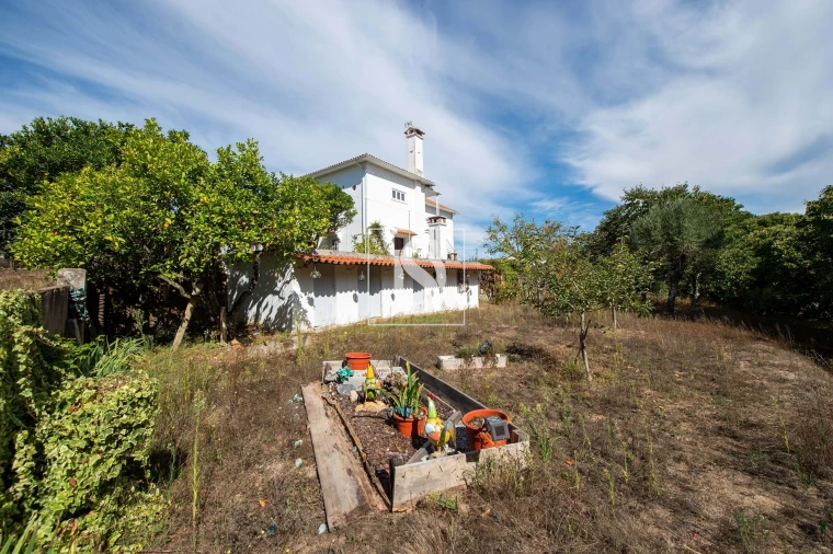 Quinta T6 para Venda em Santa Comba Dão e Couto do Mosteiro Foto 16