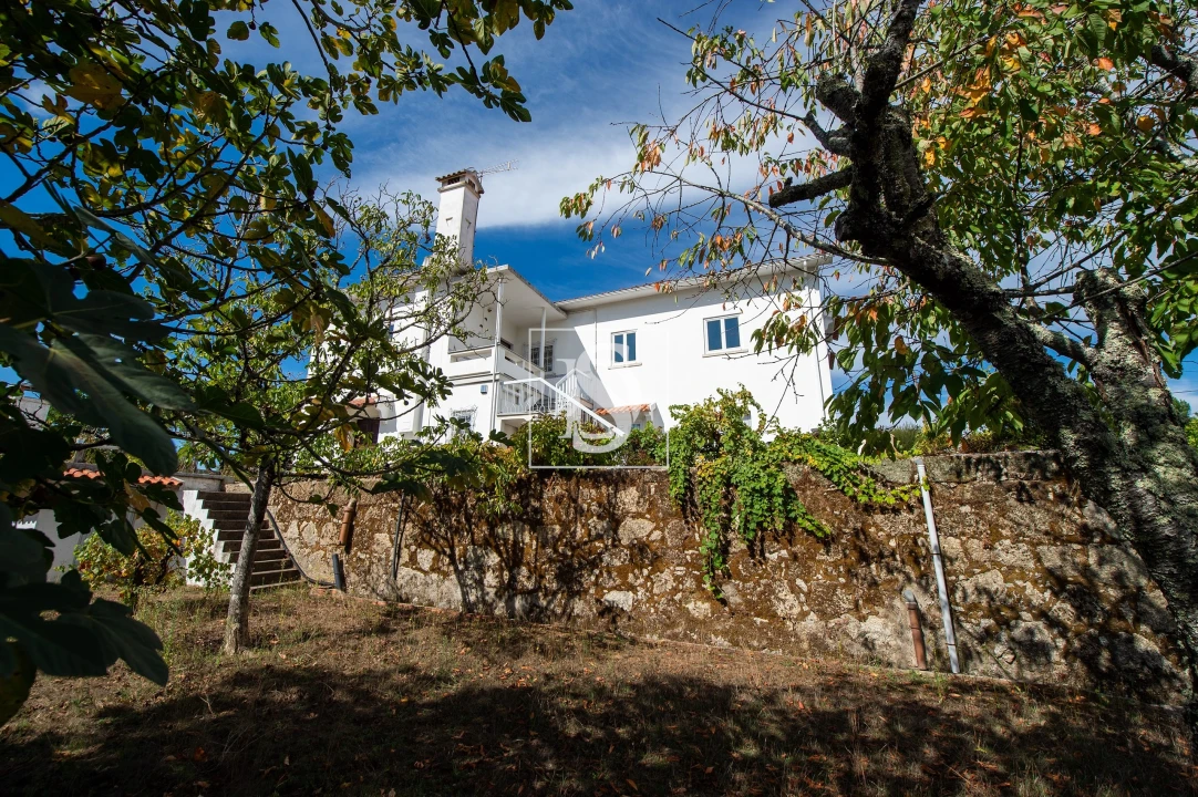 Quinta T6 para Venda em Santa Comba Dão e Couto do Mosteiro Foto 14