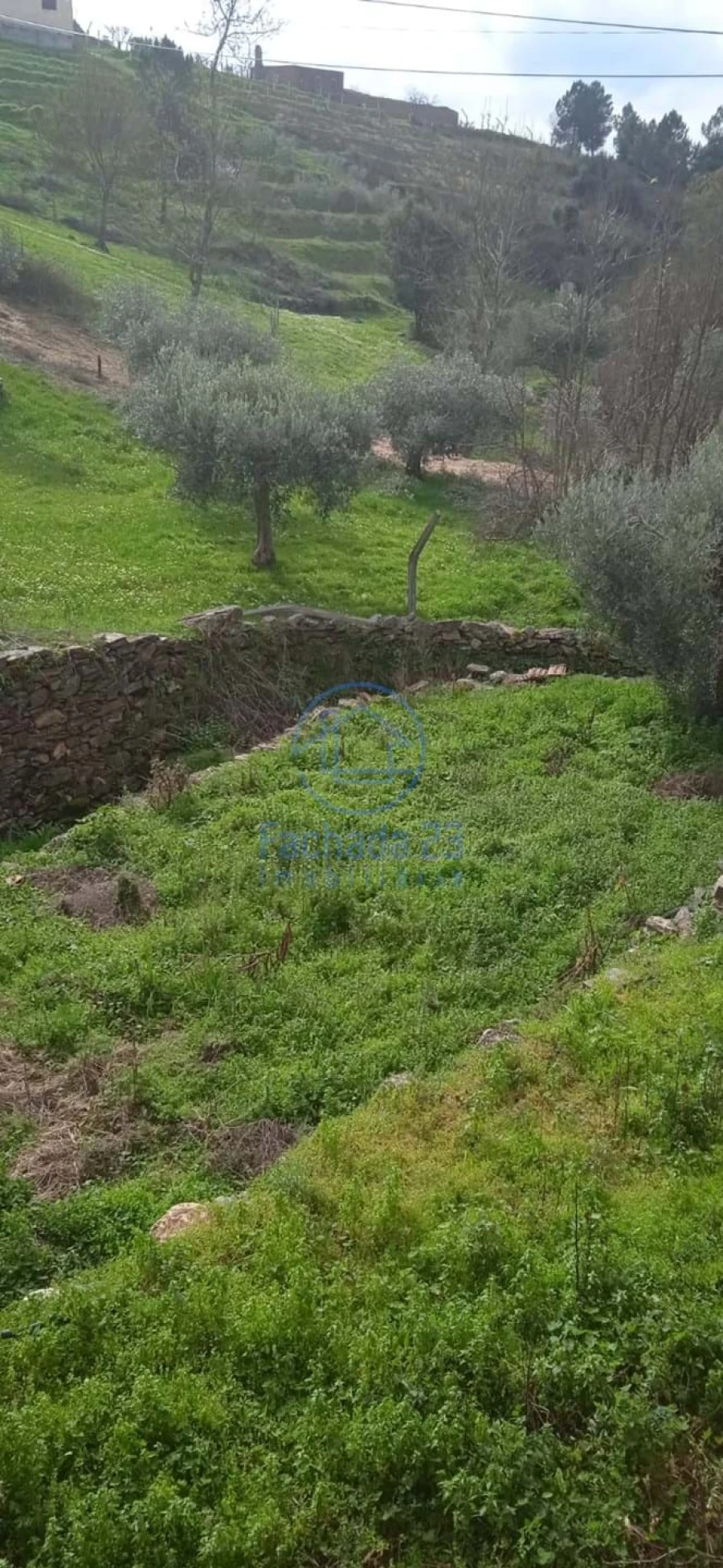 Moradia T2 para Venda em Noura e Palheiros Foto 16