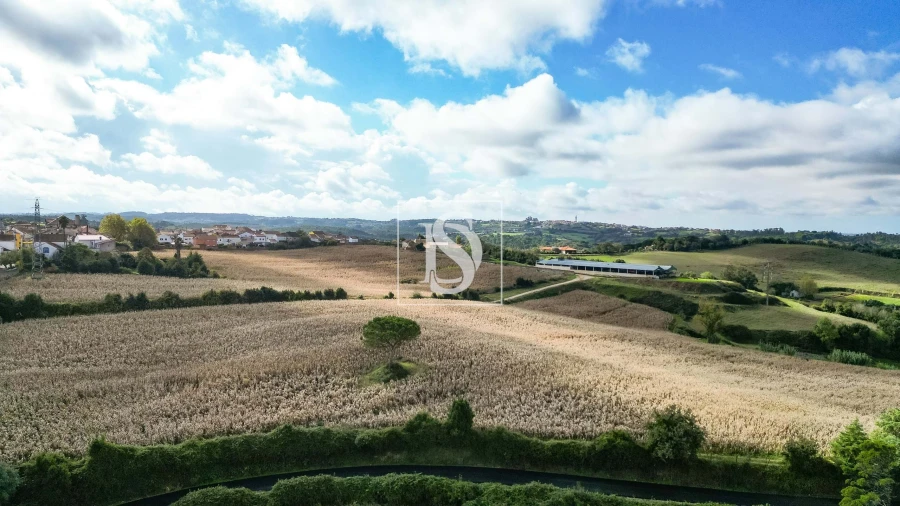 Terreno para Venda em Abrunheira, Verride e Vila Nova da Barca Foto 9