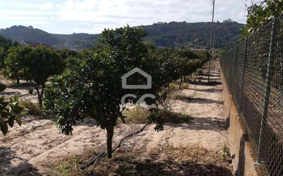 Terreno para Venda em Quinta do Anjo Foto 17