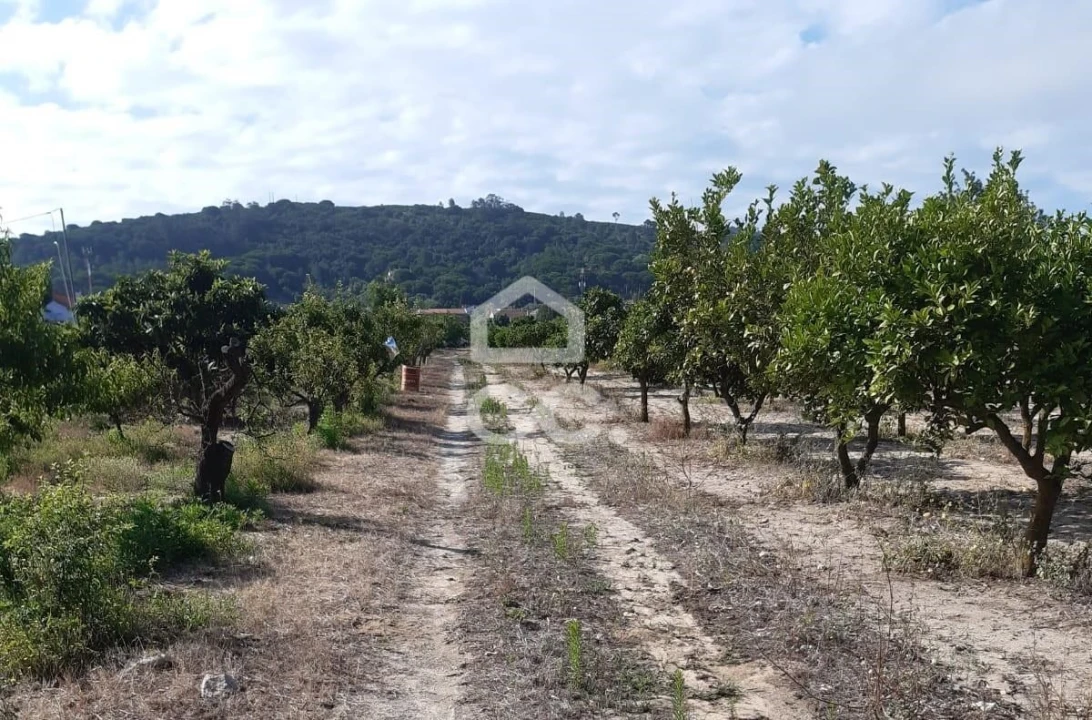 Terreno para Venda em Quinta do Anjo Foto 1
