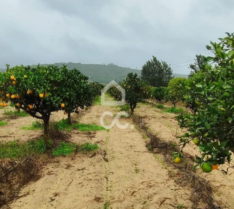 Terreno para Venda em Quinta do Anjo Foto 7