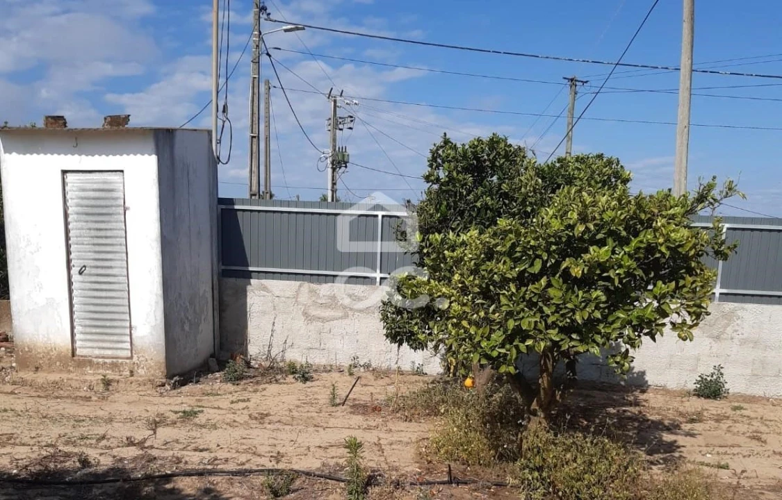 Terreno para Venda em Quinta do Anjo Foto 14