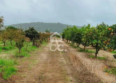 Terreno para Venda em Quinta do Anjo