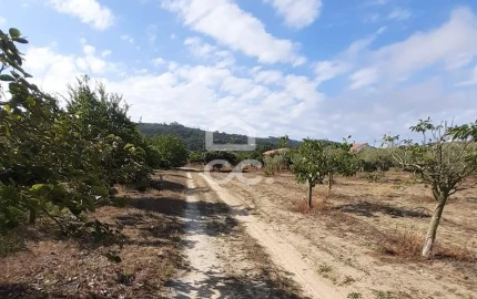 Terreno para Venda em Quinta do Anjo