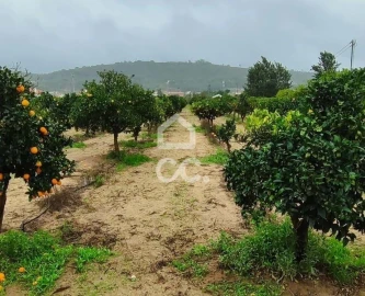 Terreno para Venda em Quinta do Anjo