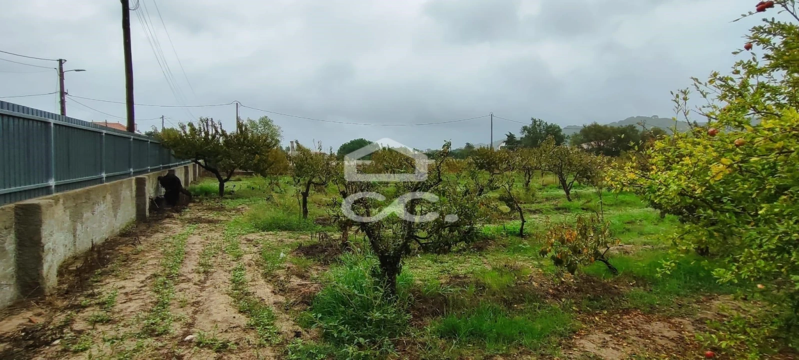 Terreno para Venda em Quinta do Anjo Foto 5
