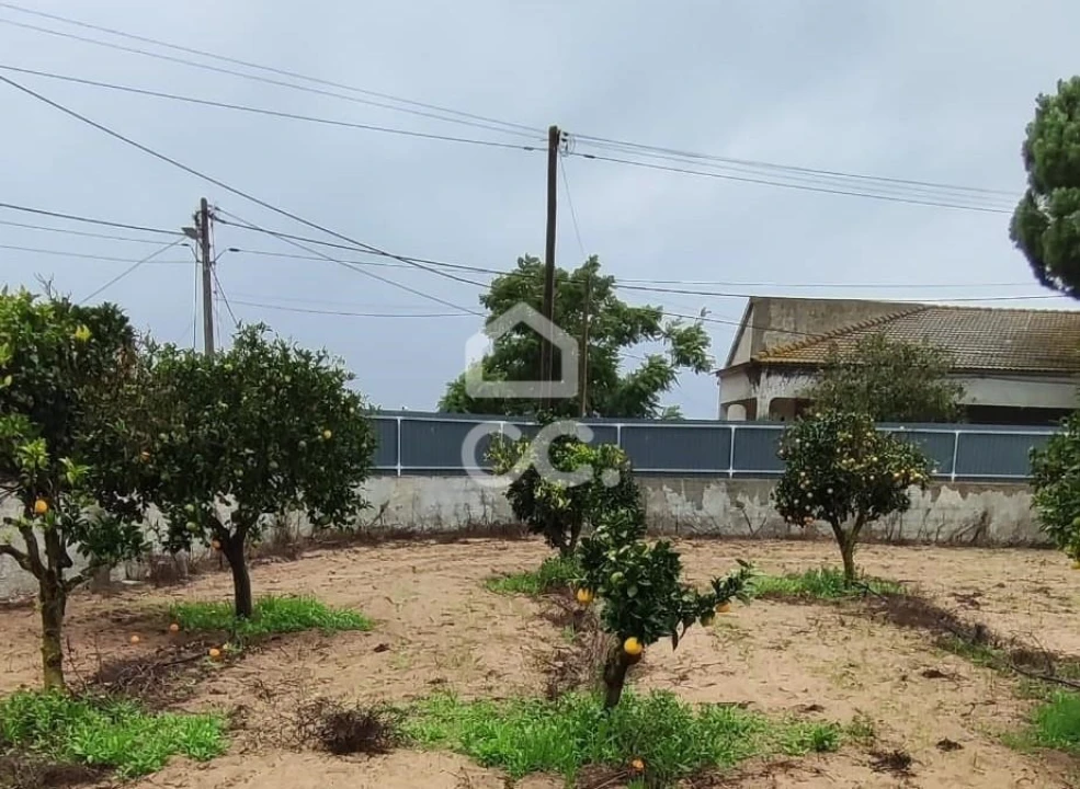 Terreno para Venda em Quinta do Anjo Foto 8