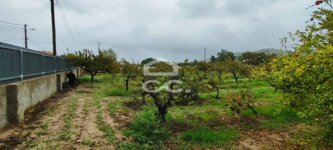 Terreno para Venda em Quinta do Anjo Foto 5