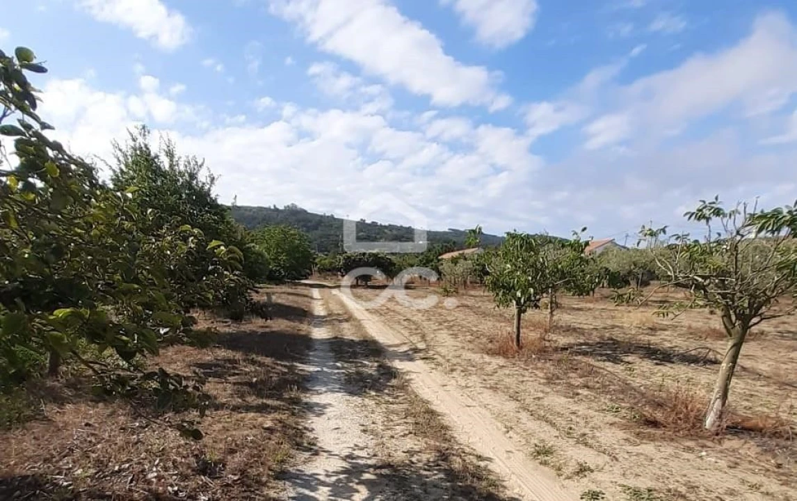 Terreno para Venda em Quinta do Anjo Foto 15