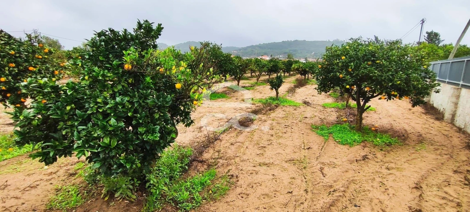 Terreno para Venda em Quinta do Anjo Foto 11
