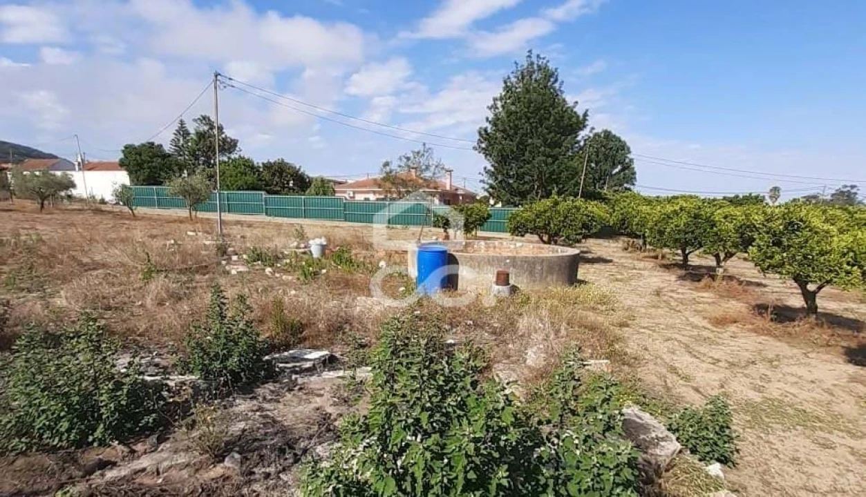 Terreno para Venda em Quinta do Anjo Foto 16