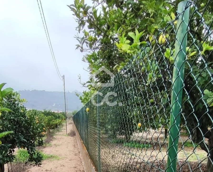 Terreno para Venda em Quinta do Anjo Foto 10