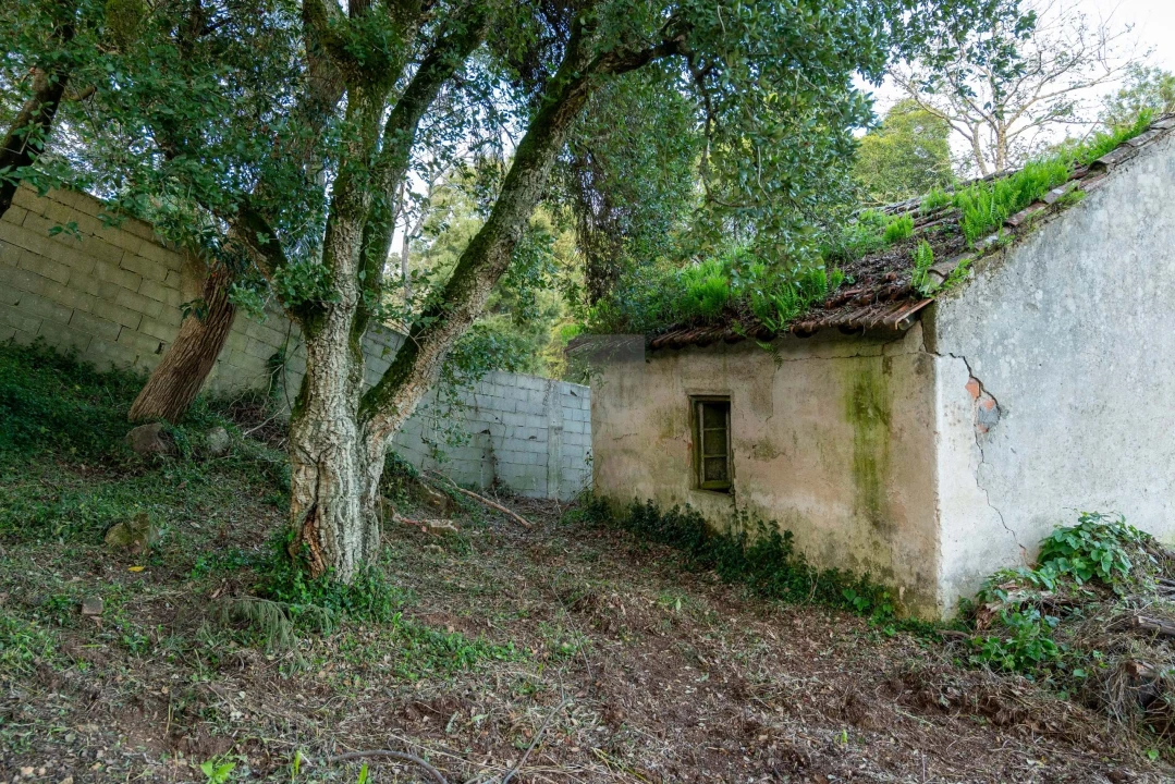 Terreno para Venda em Agualva e Mira-Sintra Foto 17