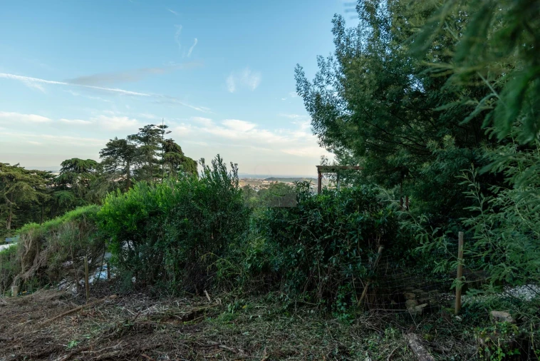 Terreno para Venda em Agualva e Mira-Sintra Foto 20