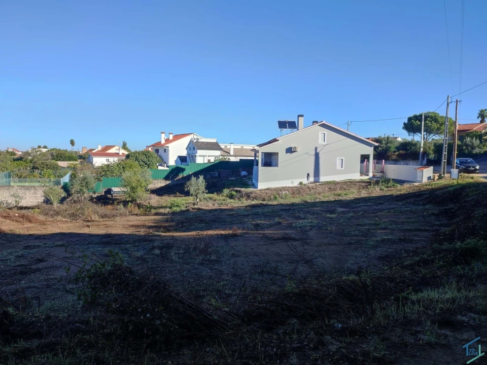 Terreno Agricola ou Rústico para Venda em Asseiceira Foto 2