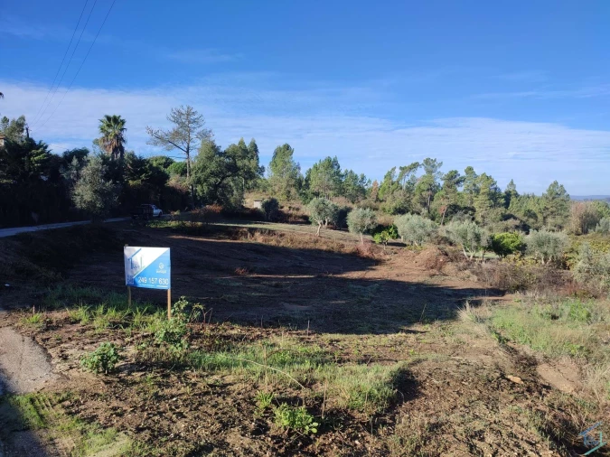Terreno Agricola ou Rústico para Venda em Asseiceira Foto 6