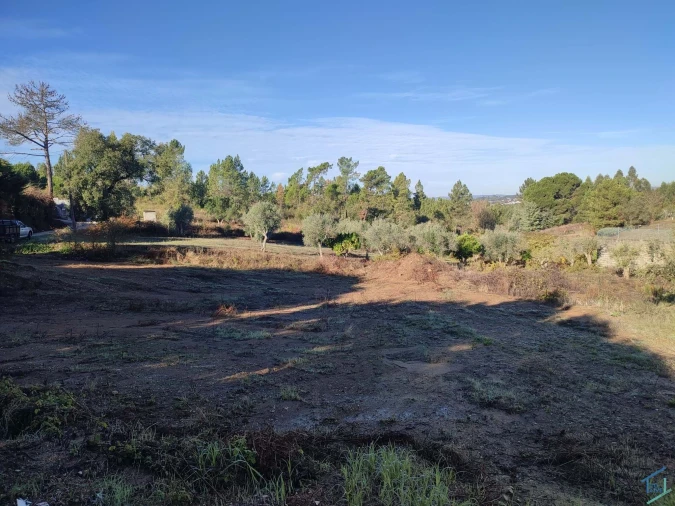Terreno Agricola ou Rústico para Venda em Asseiceira Foto 3